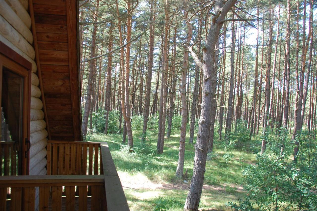 Edmundas Palanga Kültér fotó